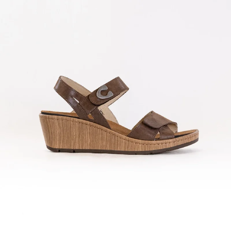 Colorful and vibrant women's shoe patternsWolky Sanibel (Women's) - Cedar Brown