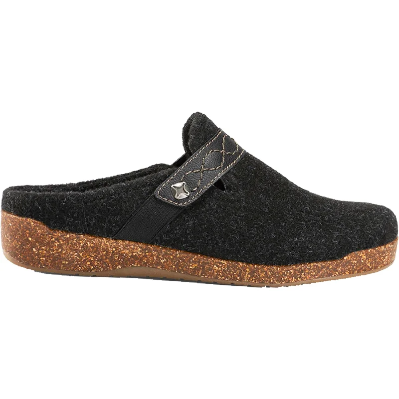 Elegant and sophisticated women's shoe stylesWomen's Earth Janet Black Felt